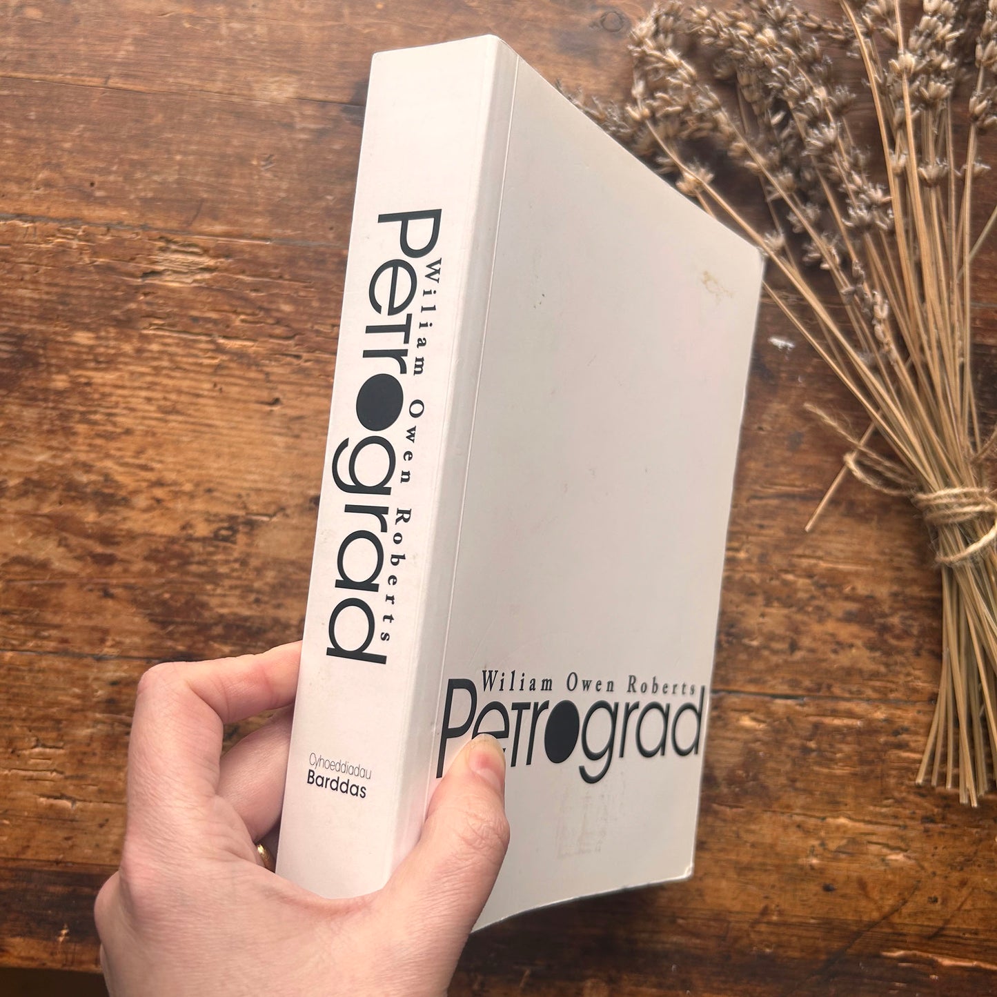 Nedw - E. Tegla Davies - Byrddau Glas - 1922 (Wedi'i ail-law)