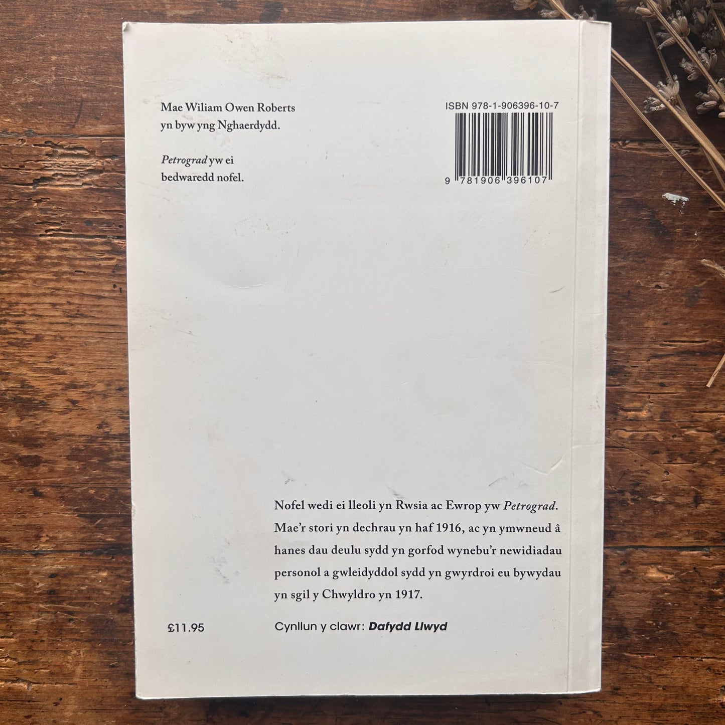 Nedw - E. Tegla Davies - Byrddau Glas - 1922 (Wedi'i ail-law)