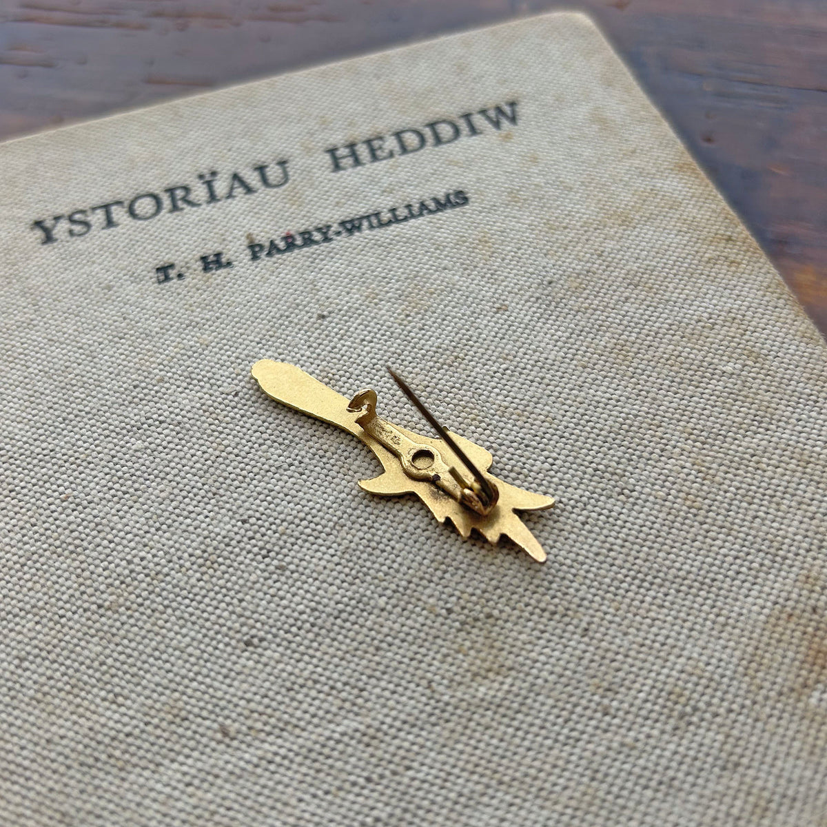 Pin Badge / Brooch - Vintage Enamel Metal - Welsh Leek (Preloved)