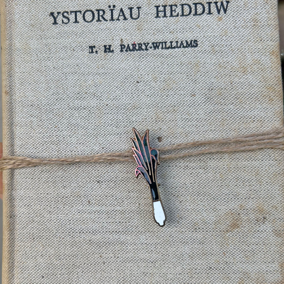 Bathodyn Pin / Broetsh - Metel Enamel Hen Ffasiwn - Cenhinen Gymreig (Wedi'i Ail-law)