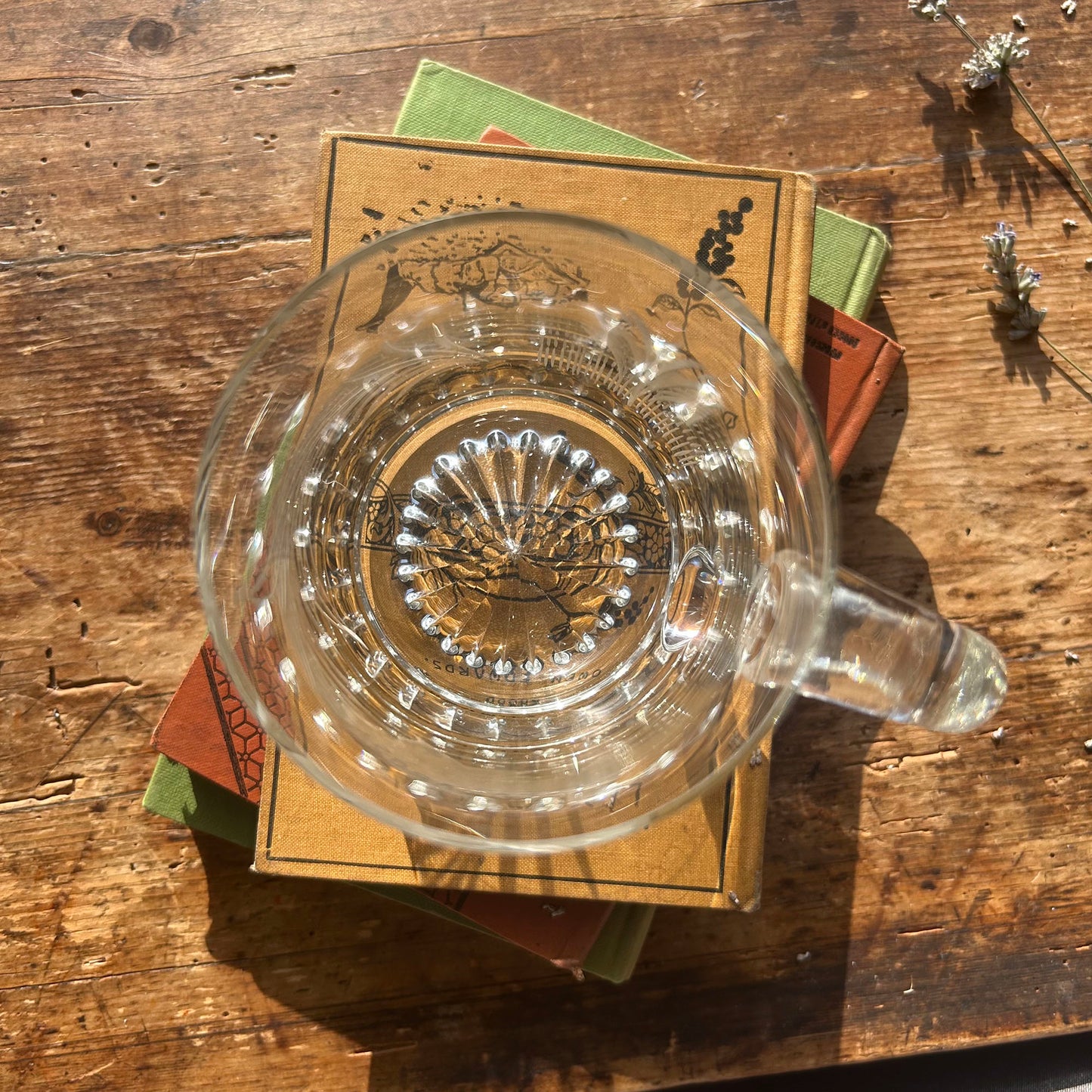 Pint Glass Tankard - Lead Crystal - Daffodil and Leek (Preloved)