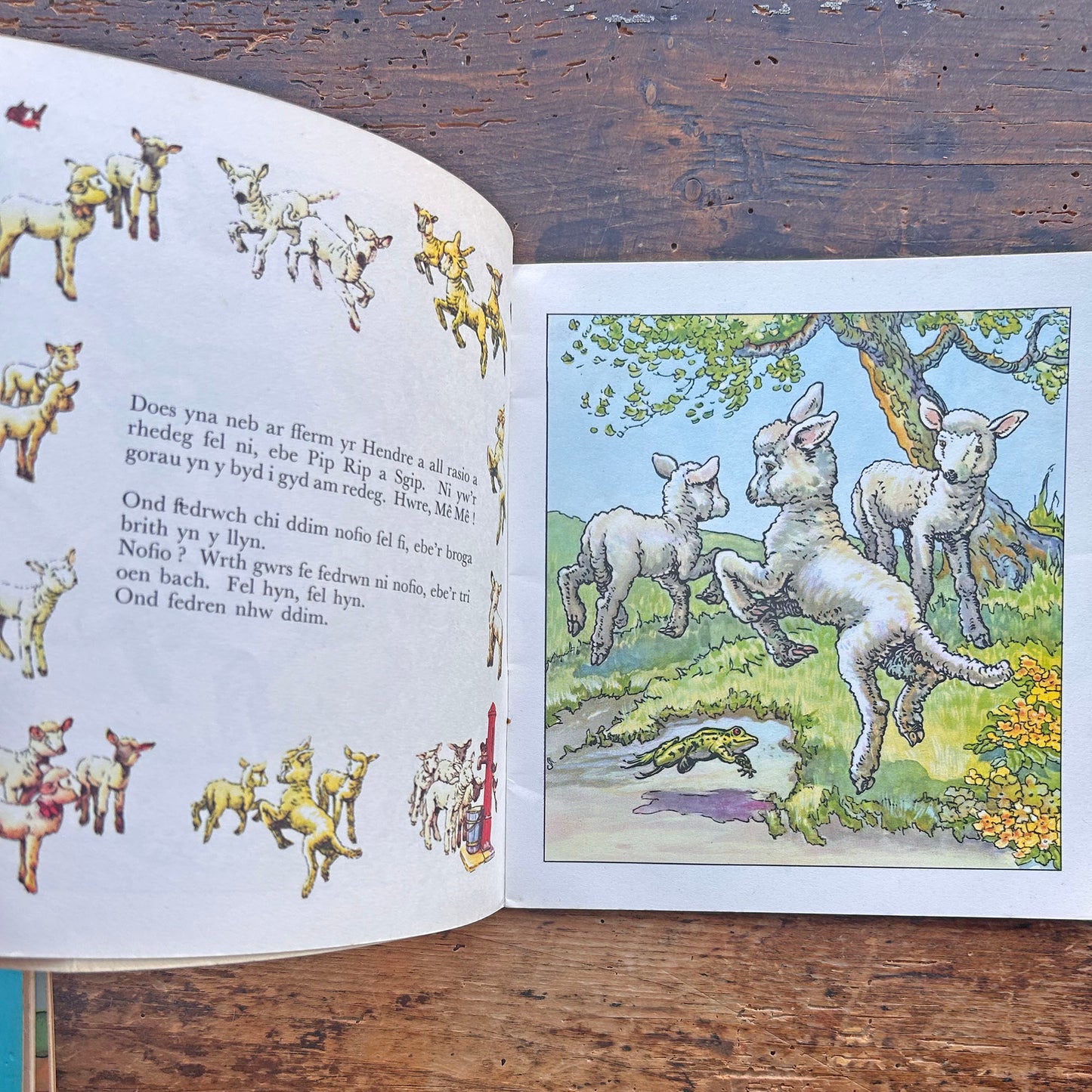 Pip Rip a Sgip - Cyfres y Frân Wen - 14 (Preloved)