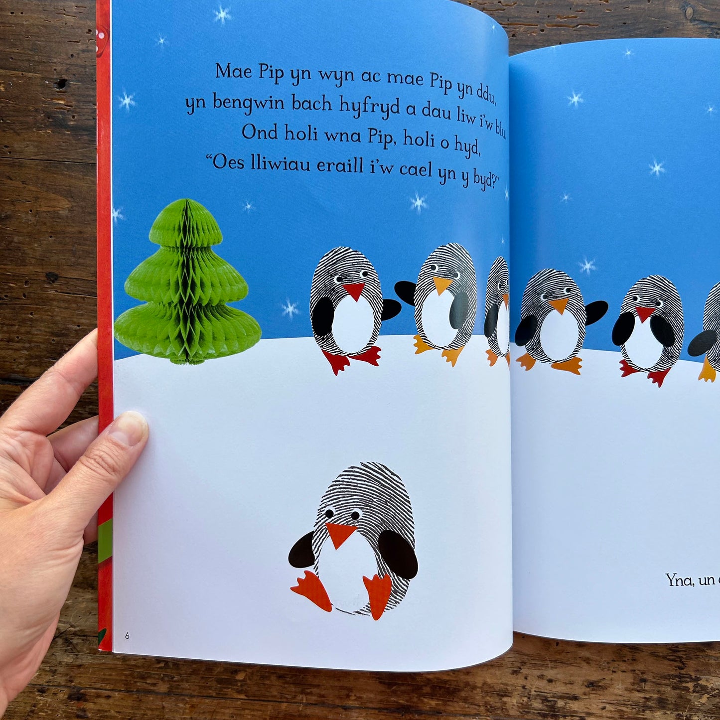 Pip y Pengwin Bach / Pip the Little Penguin (Preloved)
