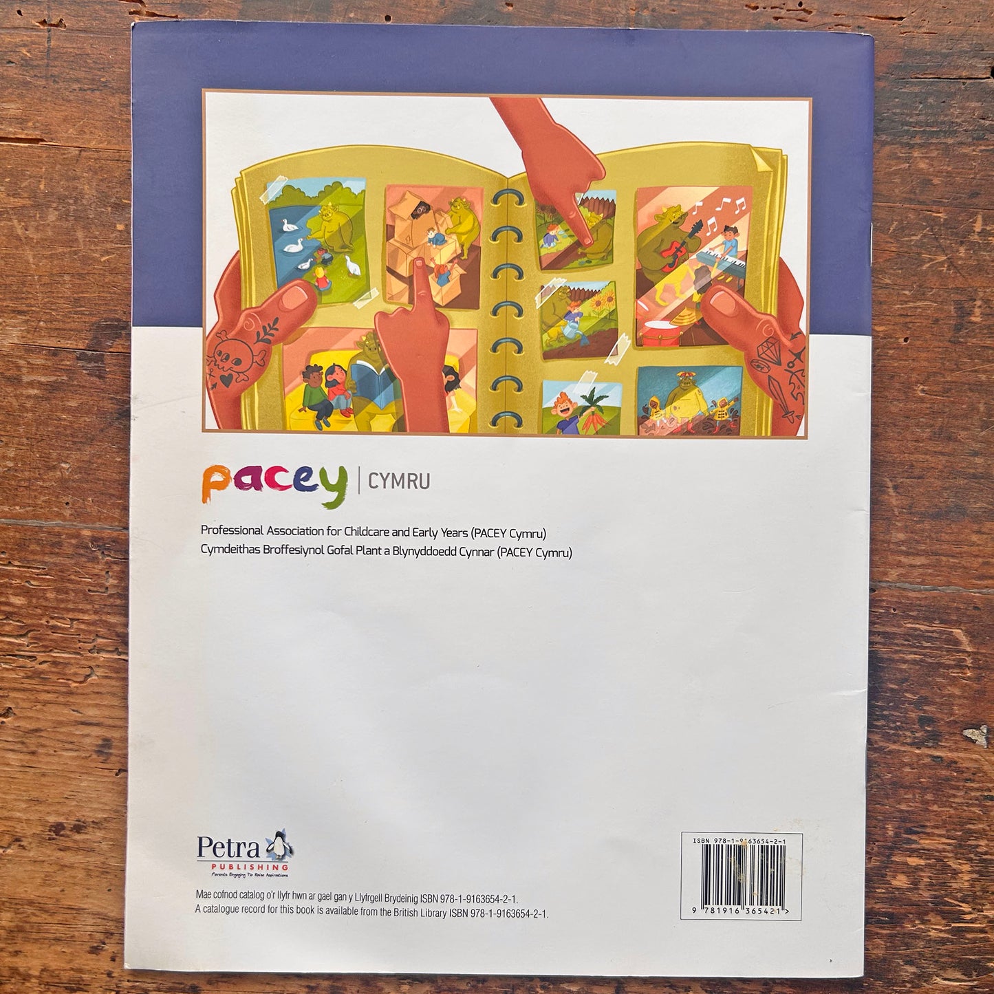 Pirate Puw's Quest / Chwilfa Puw y Mor-leidr (Preloved)