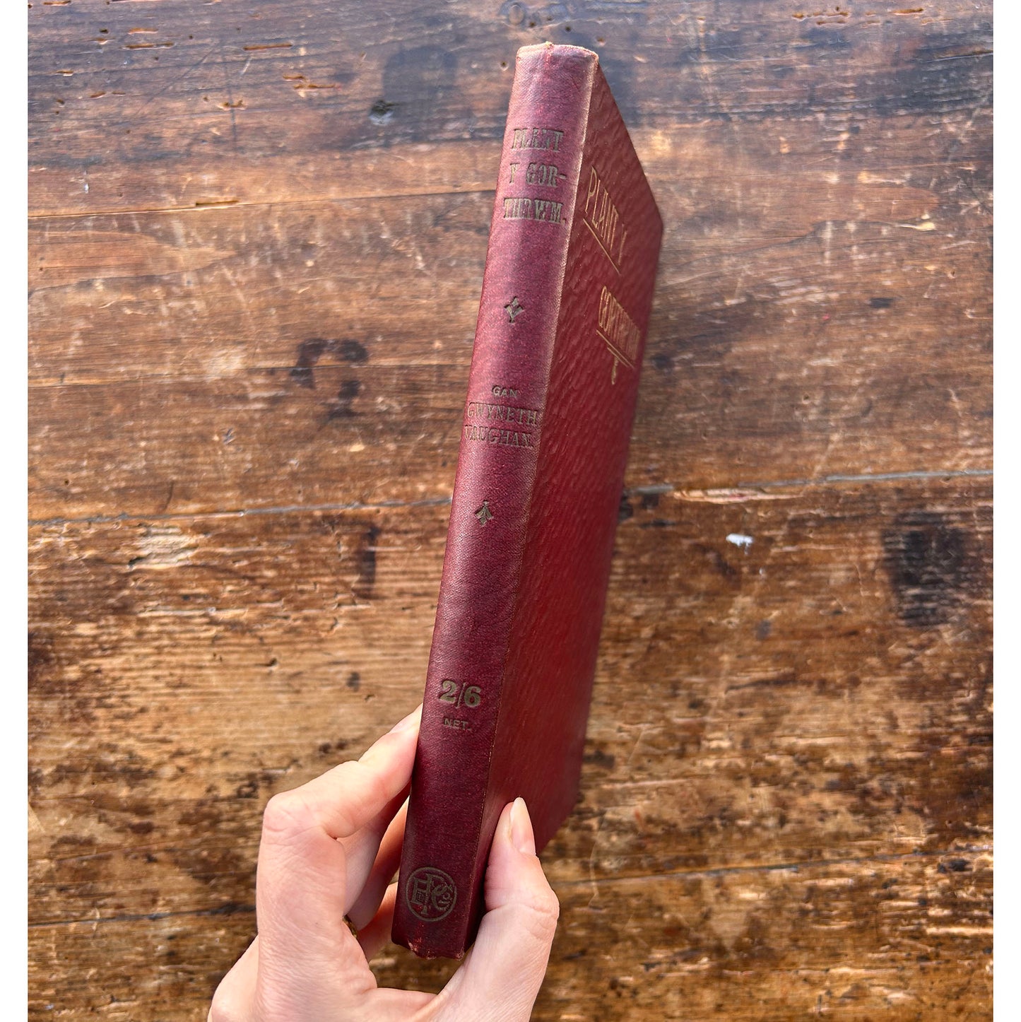 Plant y Gorthrwm - Gwyneth Vaughan - 1908 1st edition (Preloved)