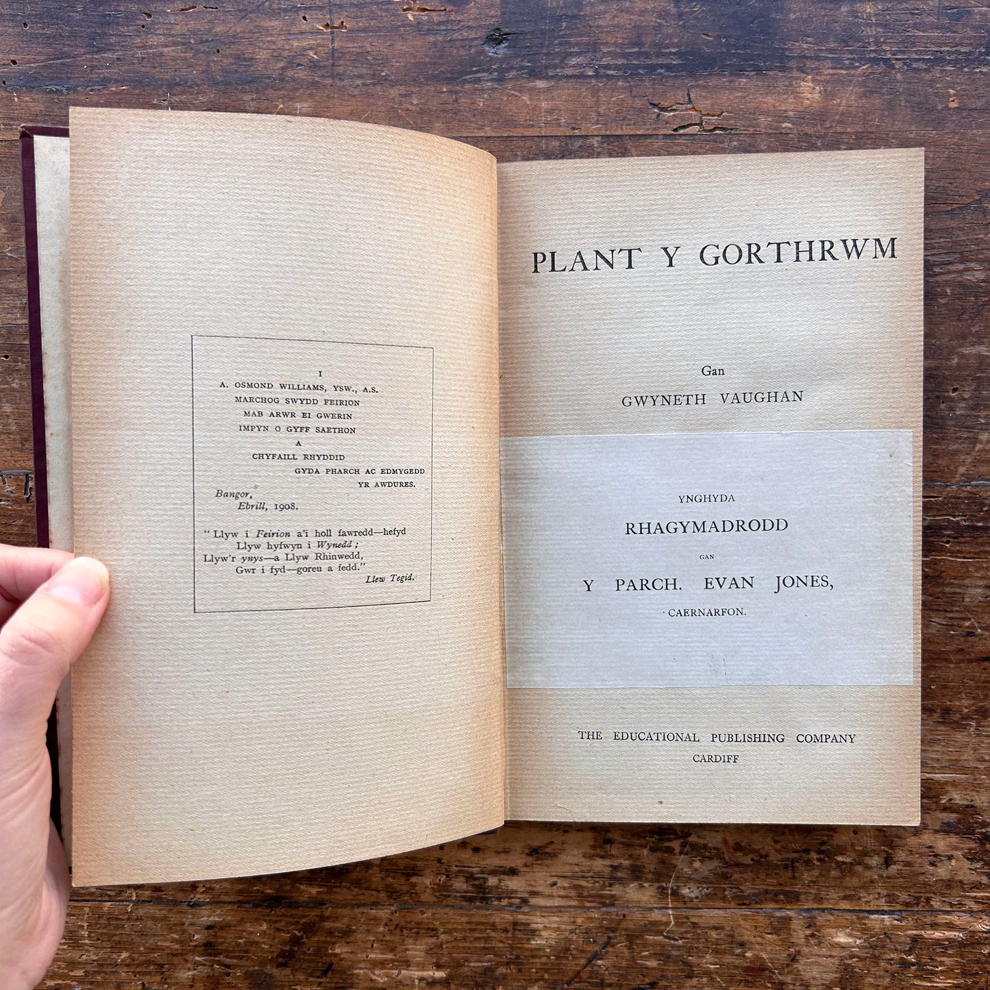 Plant y Gorthrwm - Gwyneth Vaughan - 1908 1st edition (Preloved)