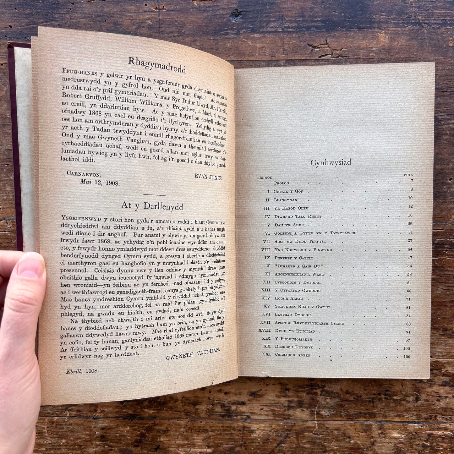 Plant y Gorthrwm - Gwyneth Vaughan - 1908 1st edition (Preloved)