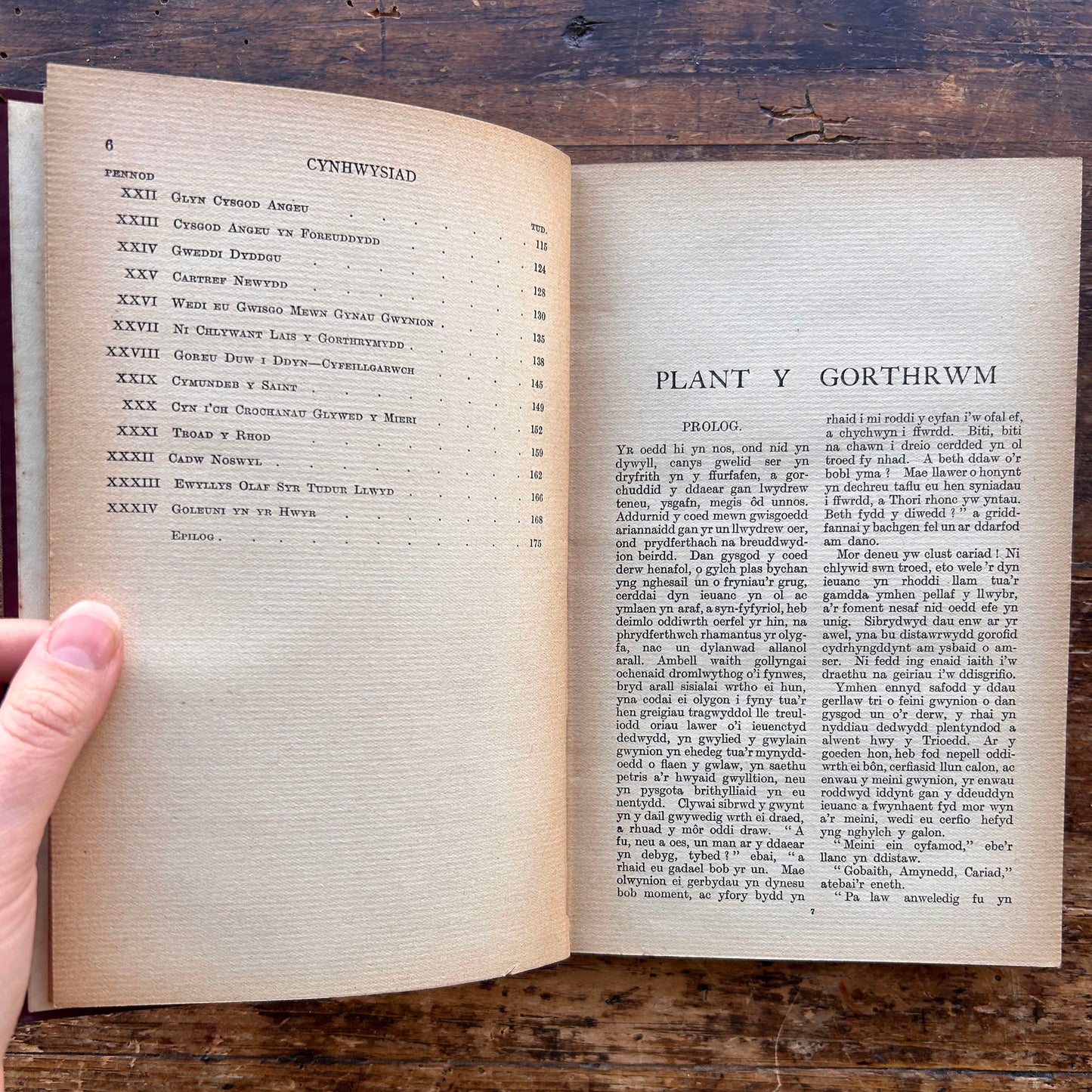 Plant y Gorthrwm - Gwyneth Vaughan - 1908 1st edition (Preloved)