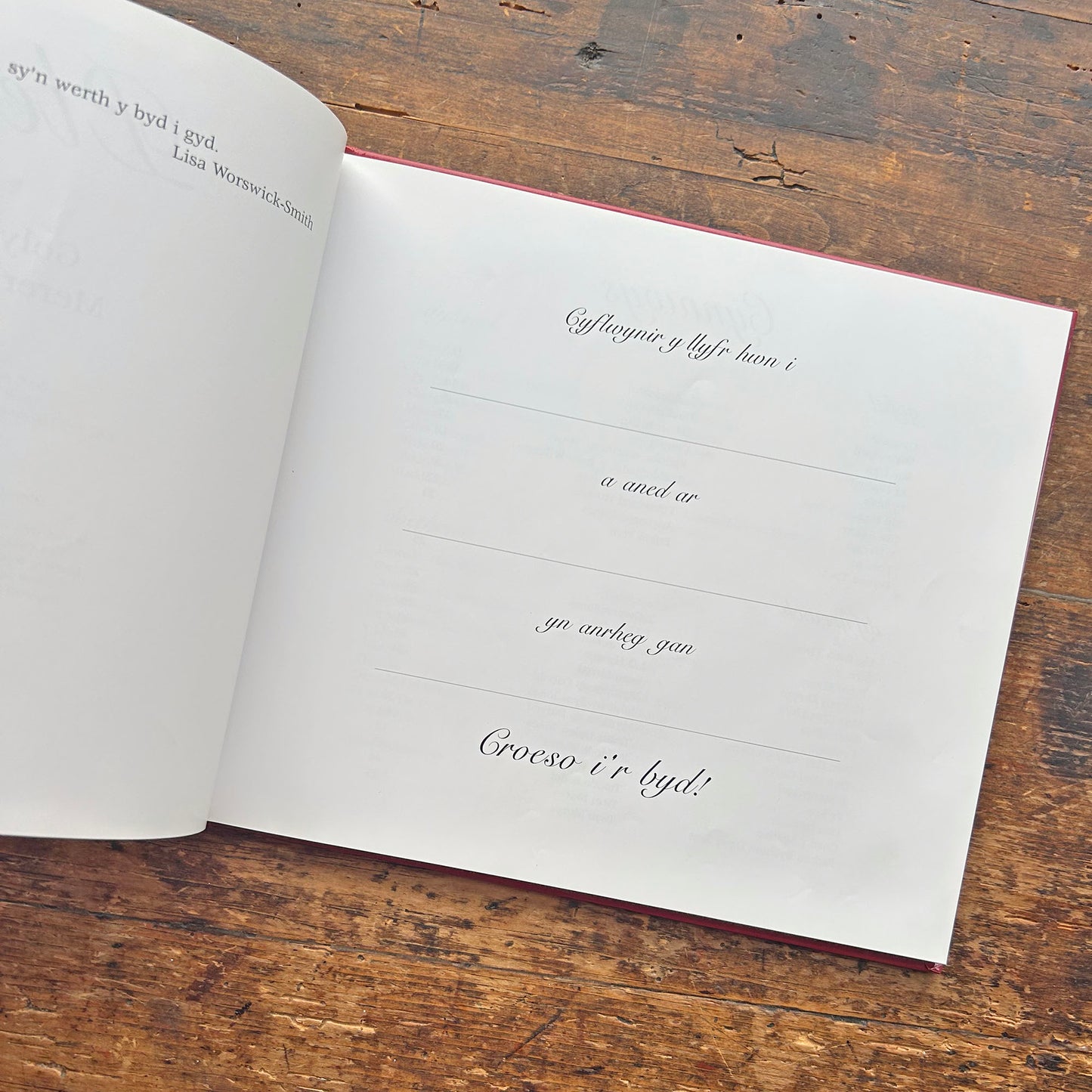 Plentyn - Vintage Welsh Treasury - Mererid Hopwood (Preloved)