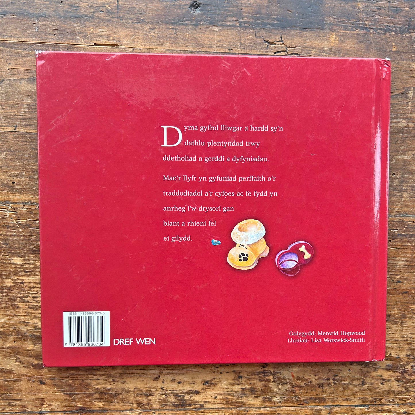 Plentyn - Vintage Welsh Treasury - Mererid Hopwood (Preloved)