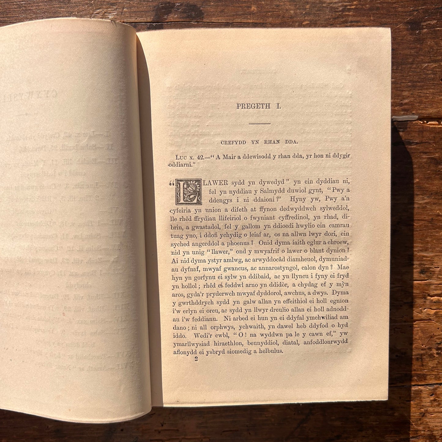 Pregethau - Parch. Thomas Rees - 1888 (Preloved)