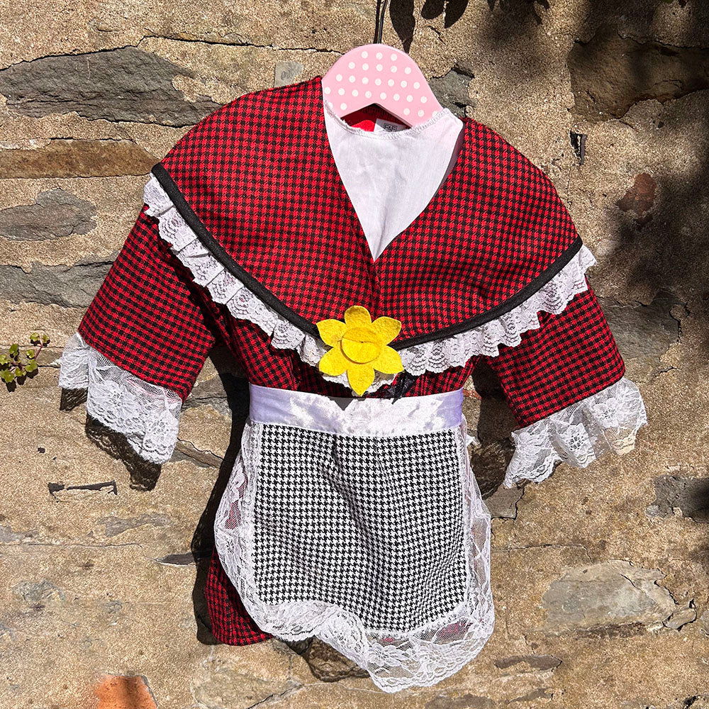 Welsh Lady's Costume - Traditional - age 1-2 (Preloved)