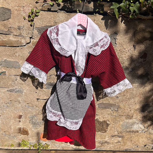 Welsh Lady's Costume - Traditional - age 5-6 (Preloved)