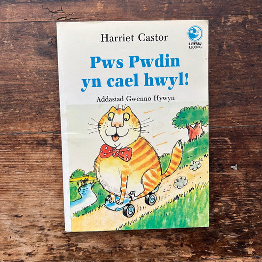 Pws Pwdin yn Cael Hwyl! 1990 (Preloved)