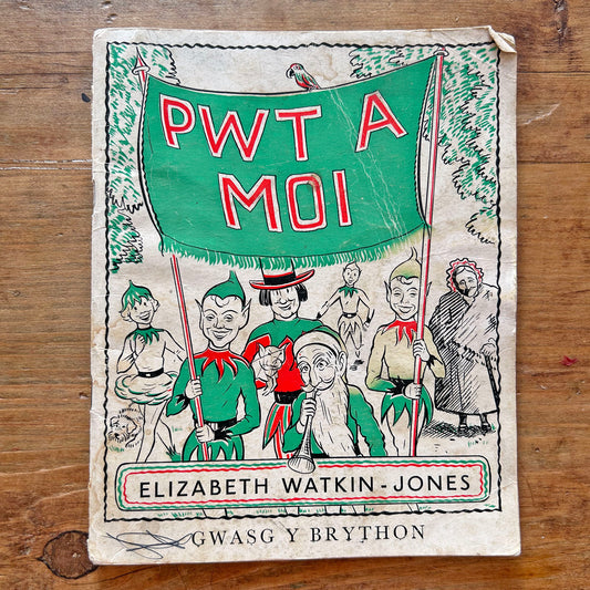 Pwt a Moi - Vintage Welsh Children's Book 1953 (Preloved)