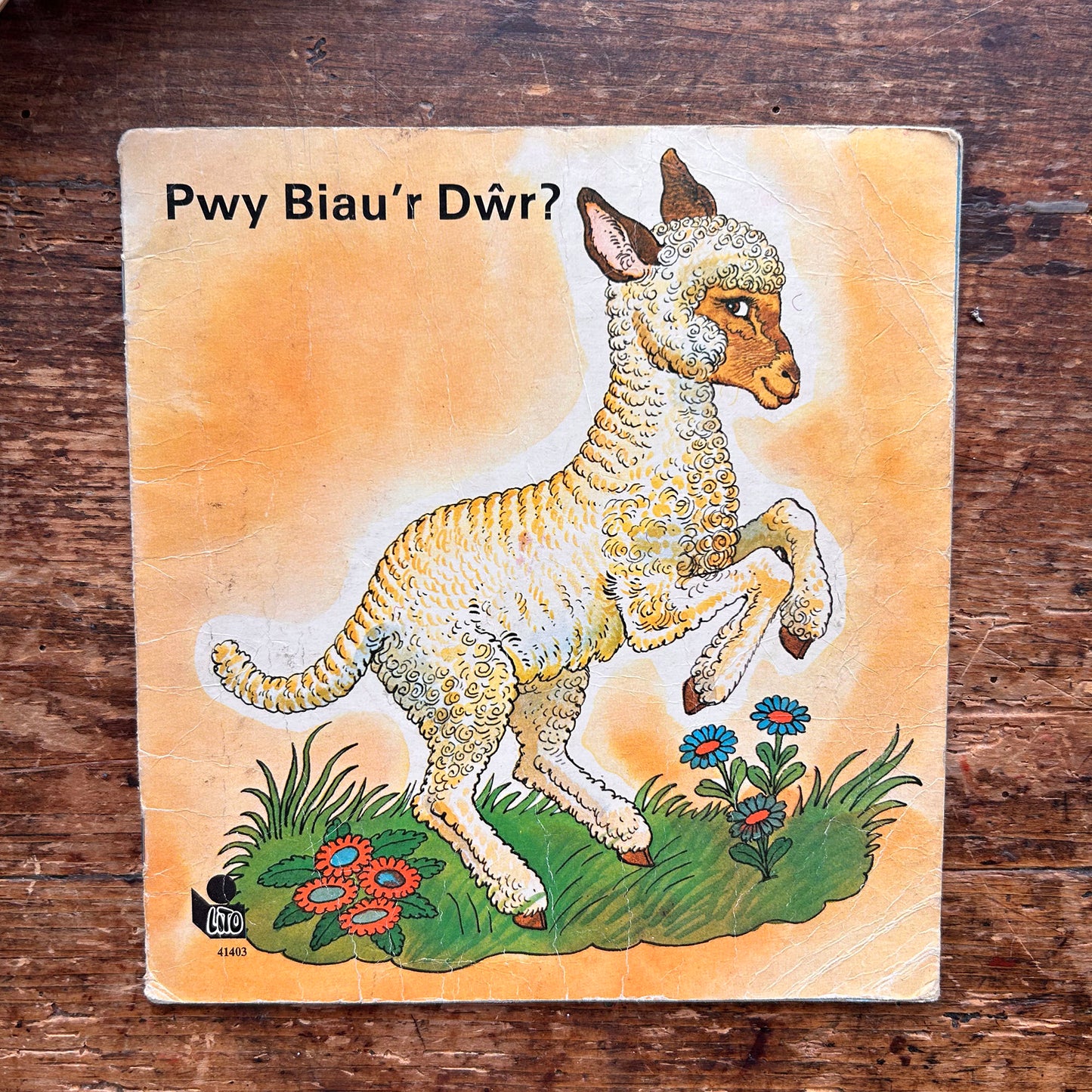 Sioe Gwn Trecwn - Llyfr Lluniau Plant Hen 1973 (Wedi'i Ail-law)