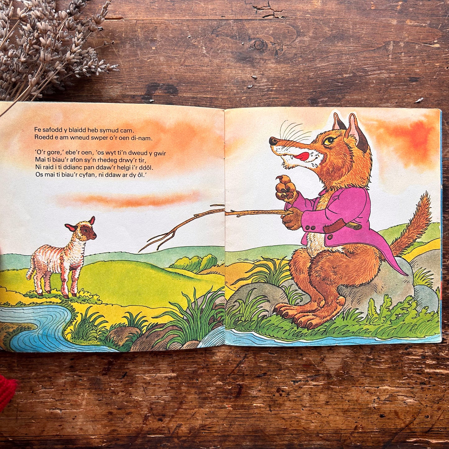 Sioe Gwn Trecwn - Llyfr Lluniau Plant Hen 1973 (Wedi'i Ail-law)