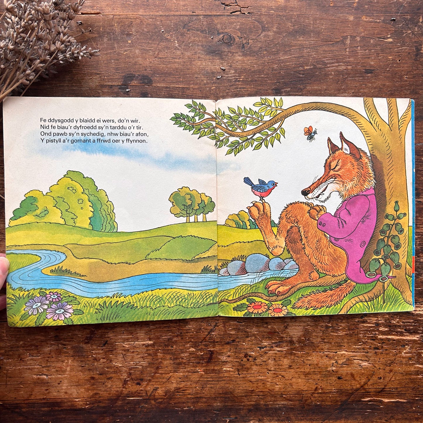 Sioe Gwn Trecwn - Llyfr Lluniau Plant Hen 1973 (Wedi'i Ail-law)