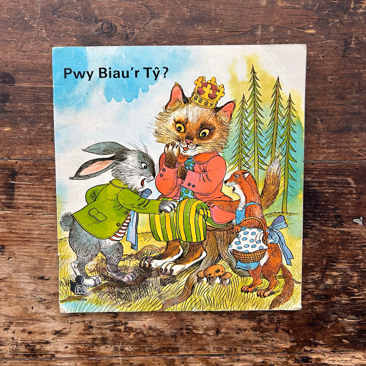 Pwy Biau'r Ty? Who Owns the House? 1960's (Preloved)