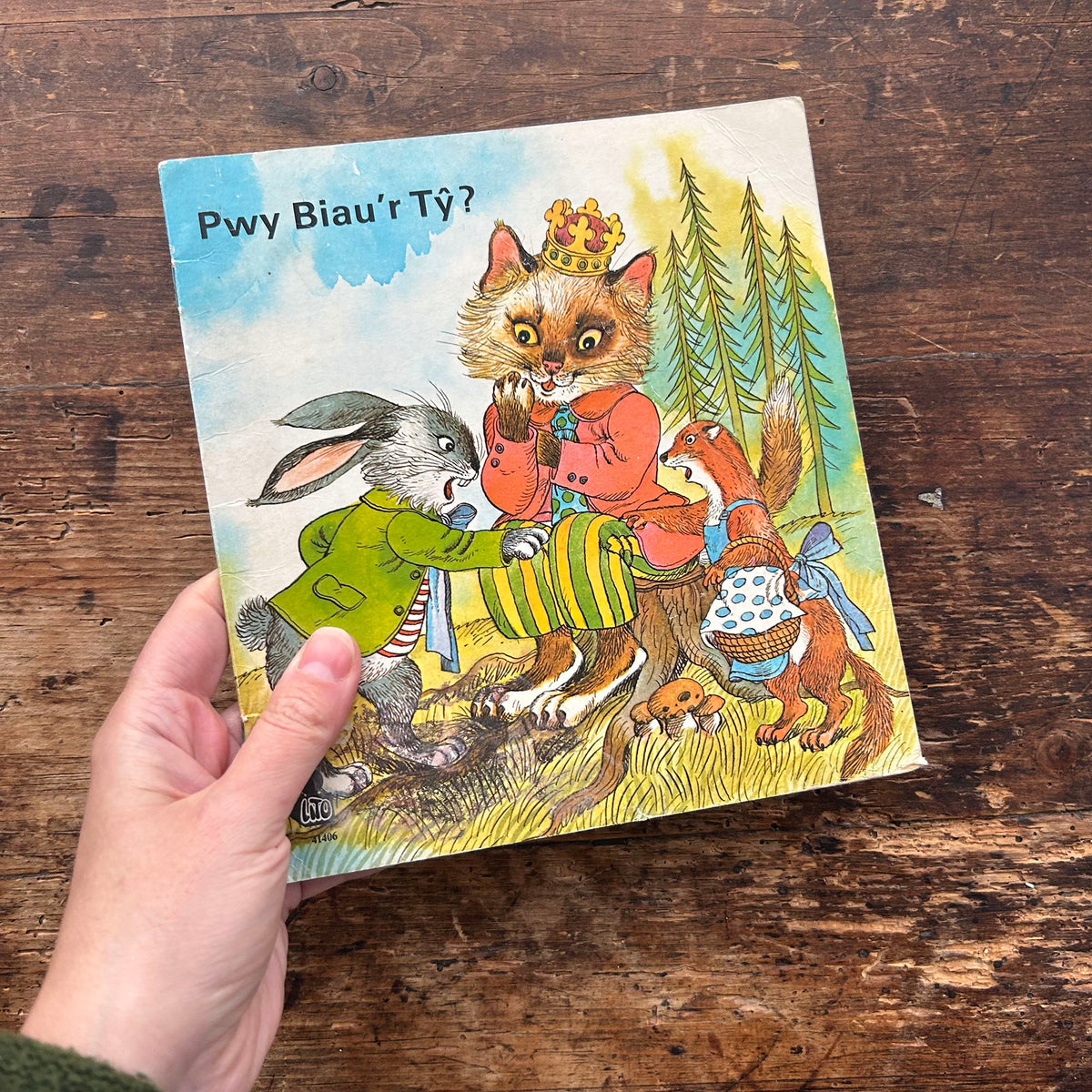 Pwy Biau'r Ty? Who Owns the House? 1960's (Preloved)