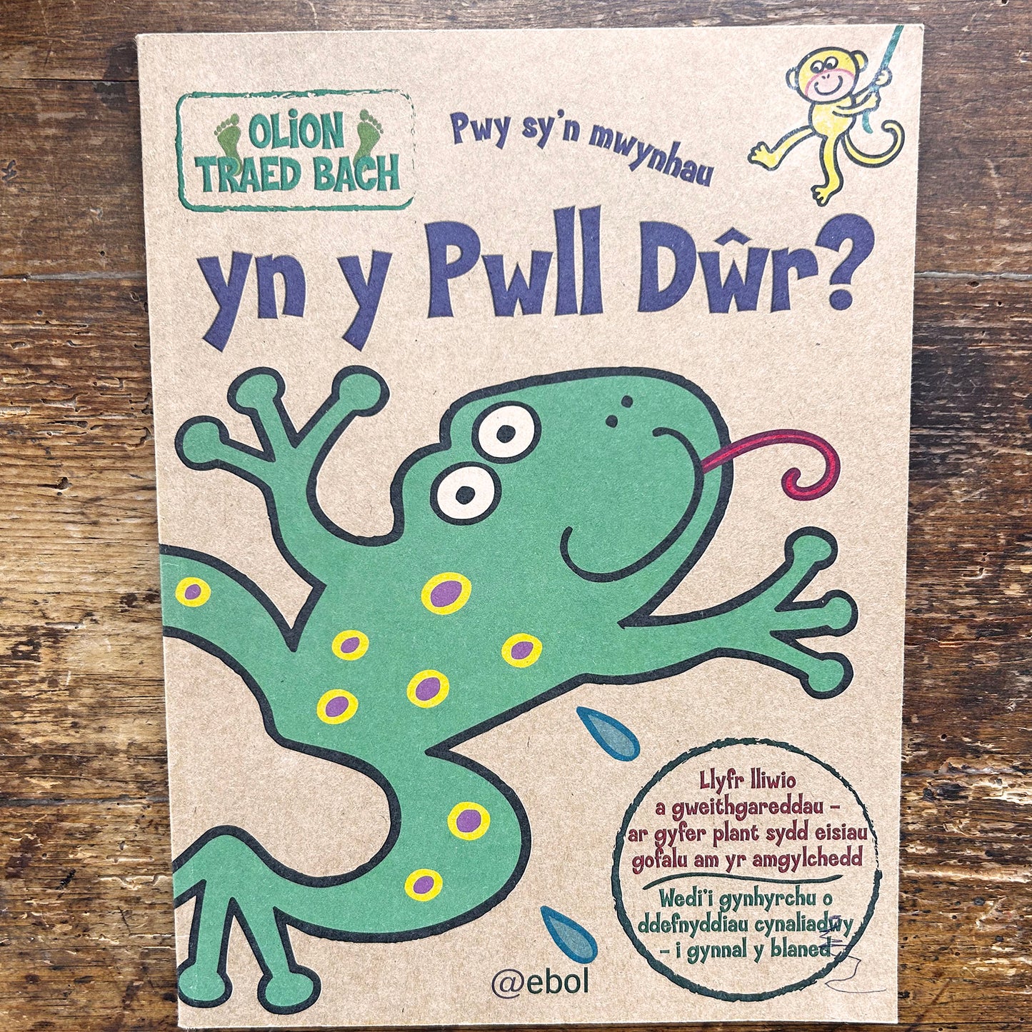 Pwy Sy'n Mwynhau yn y Pwll Dŵr? - Small Footprints (Preloved)