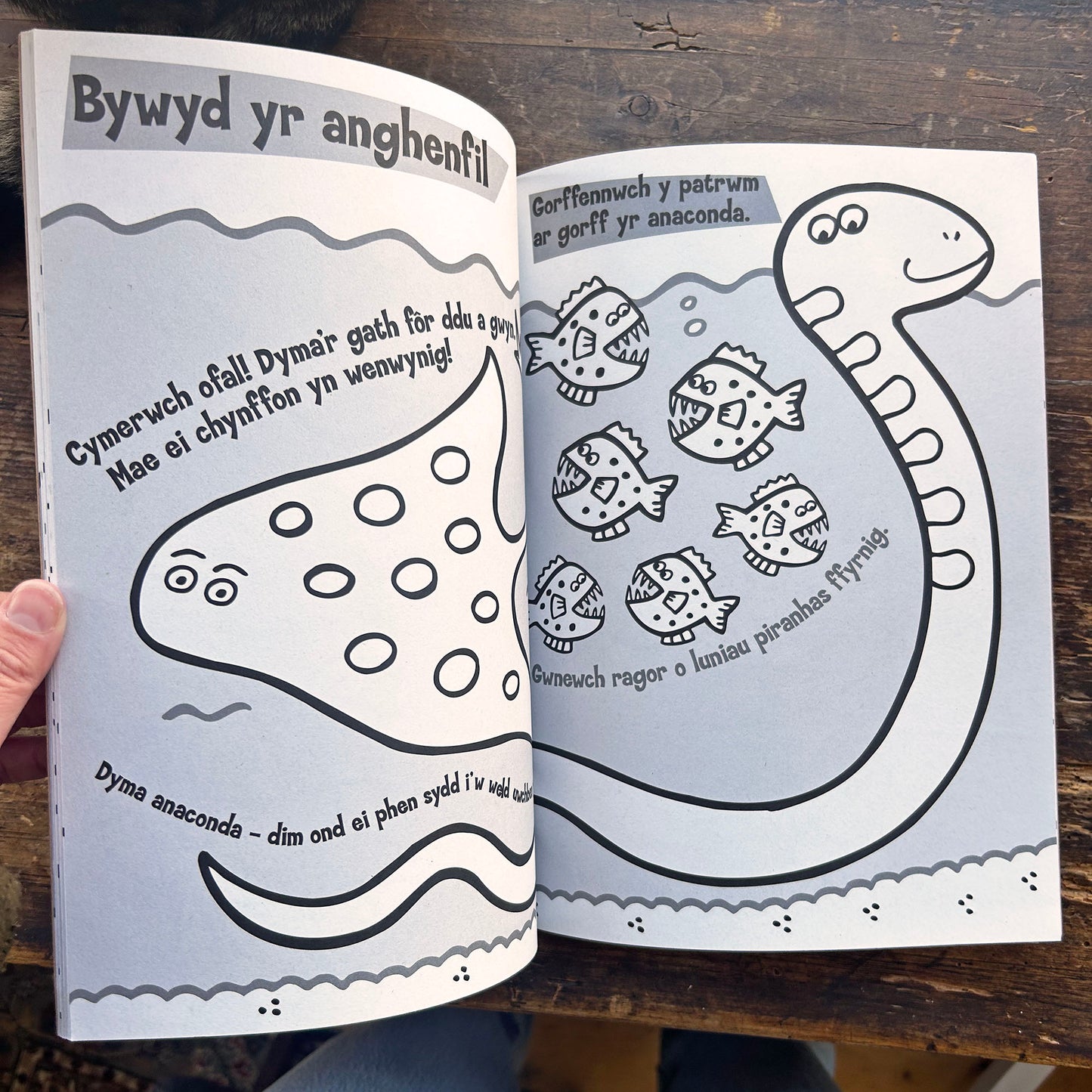 Pwy Sy'n Mwynhau yn y Pwll Dŵr? - Small Footprints (Preloved)