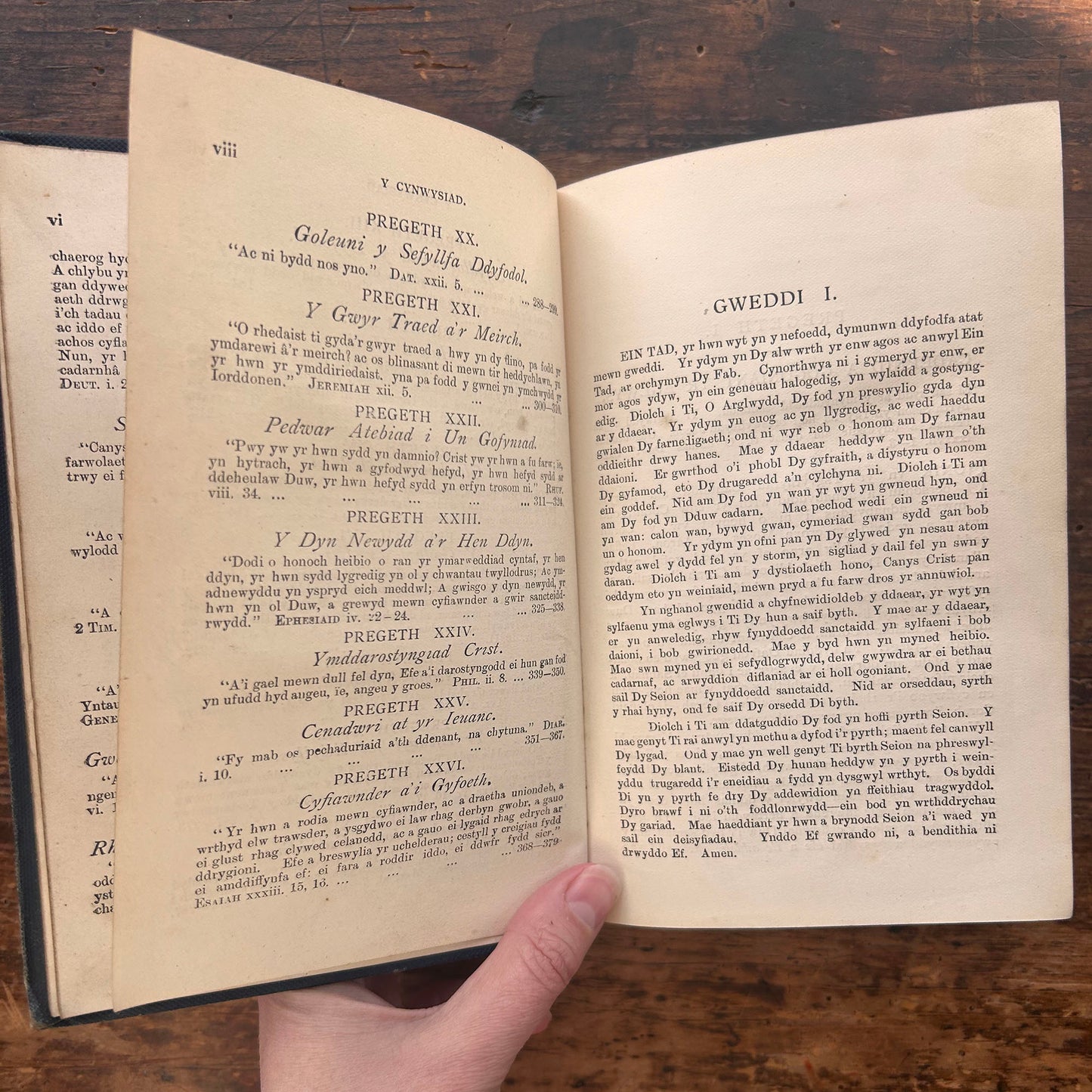 Pyrth Sion - Pregethau - B. Davies - 1899 (Preloved)