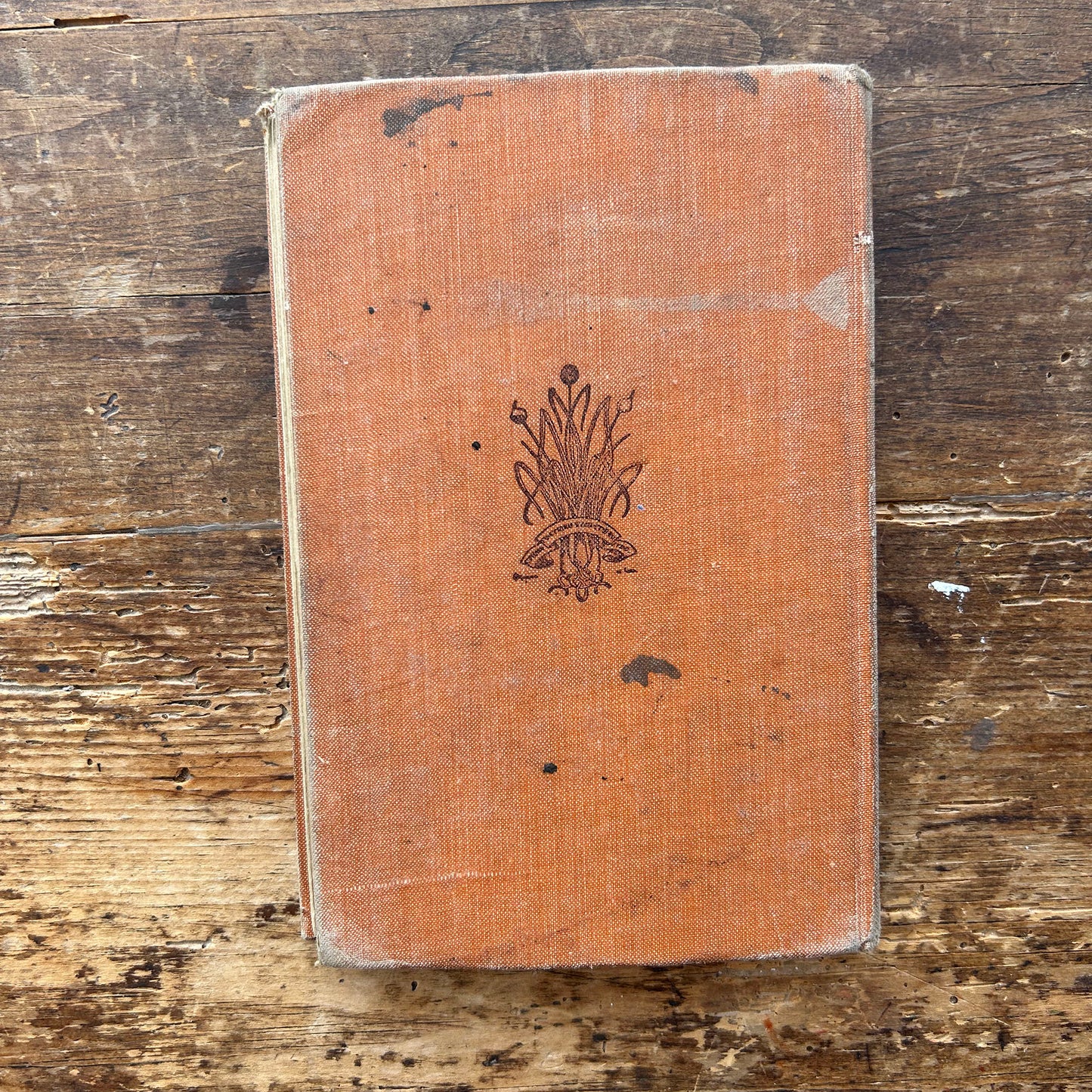 Readings in Welsh History - Ernest Rhys - 1909 (Preloved)