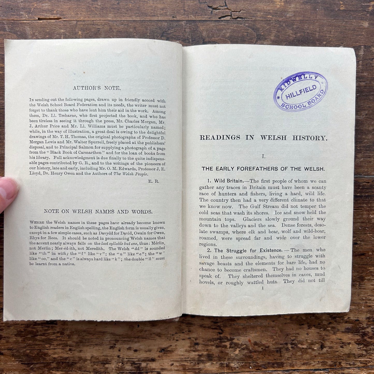 Readings in Welsh History - Ernest Rhys - 1909 (Preloved)