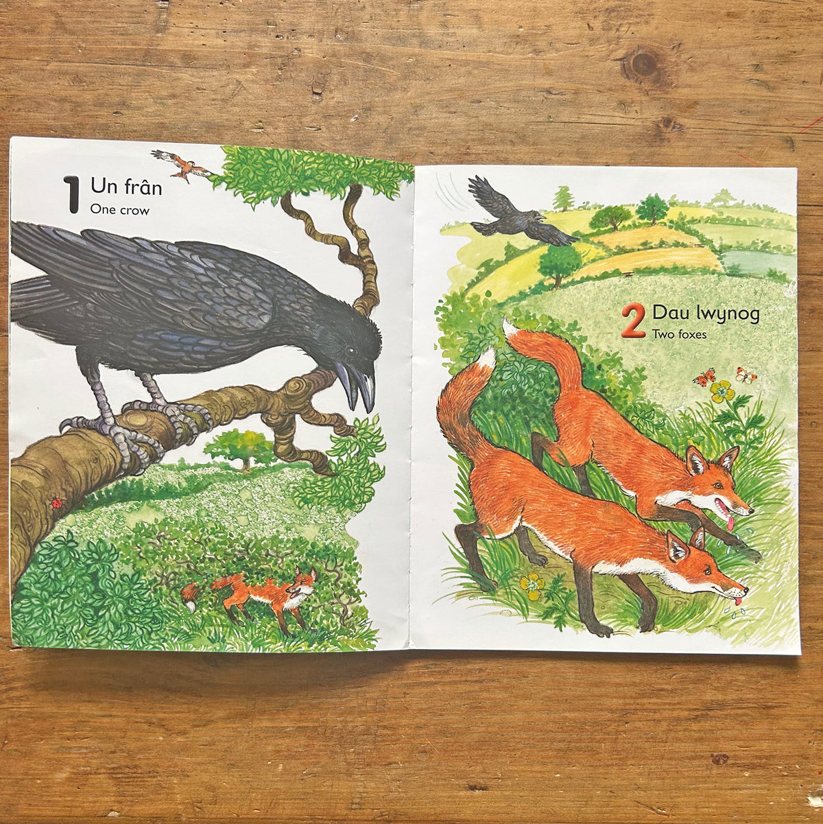 Welsh Crow Rhifo efo'r Fran Fawr Ddu - Counting with Big Black Crow (Preloved ...