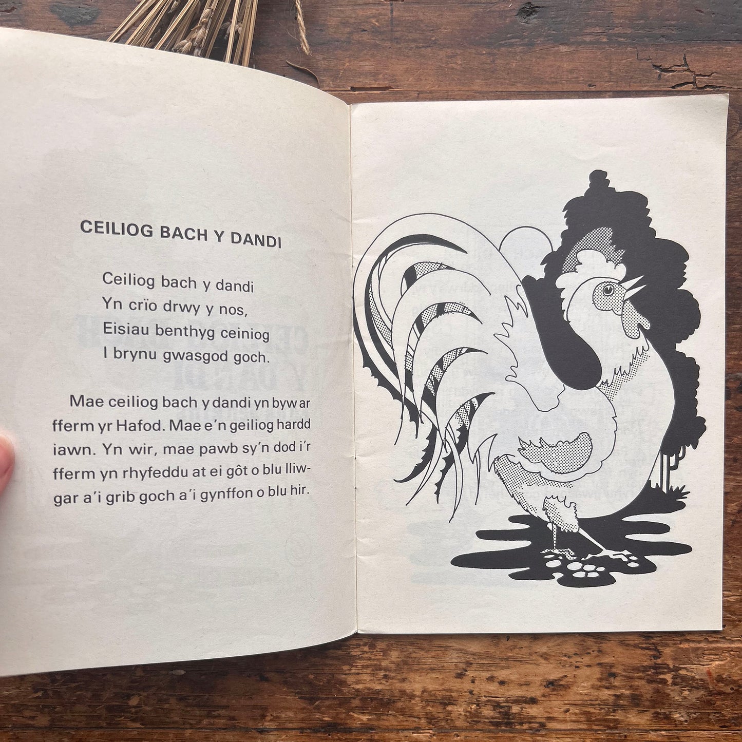 Ceiliog Bach y Dandi - Rhigwm a Stori - Edna Jenkins - 1975 (Preloved)