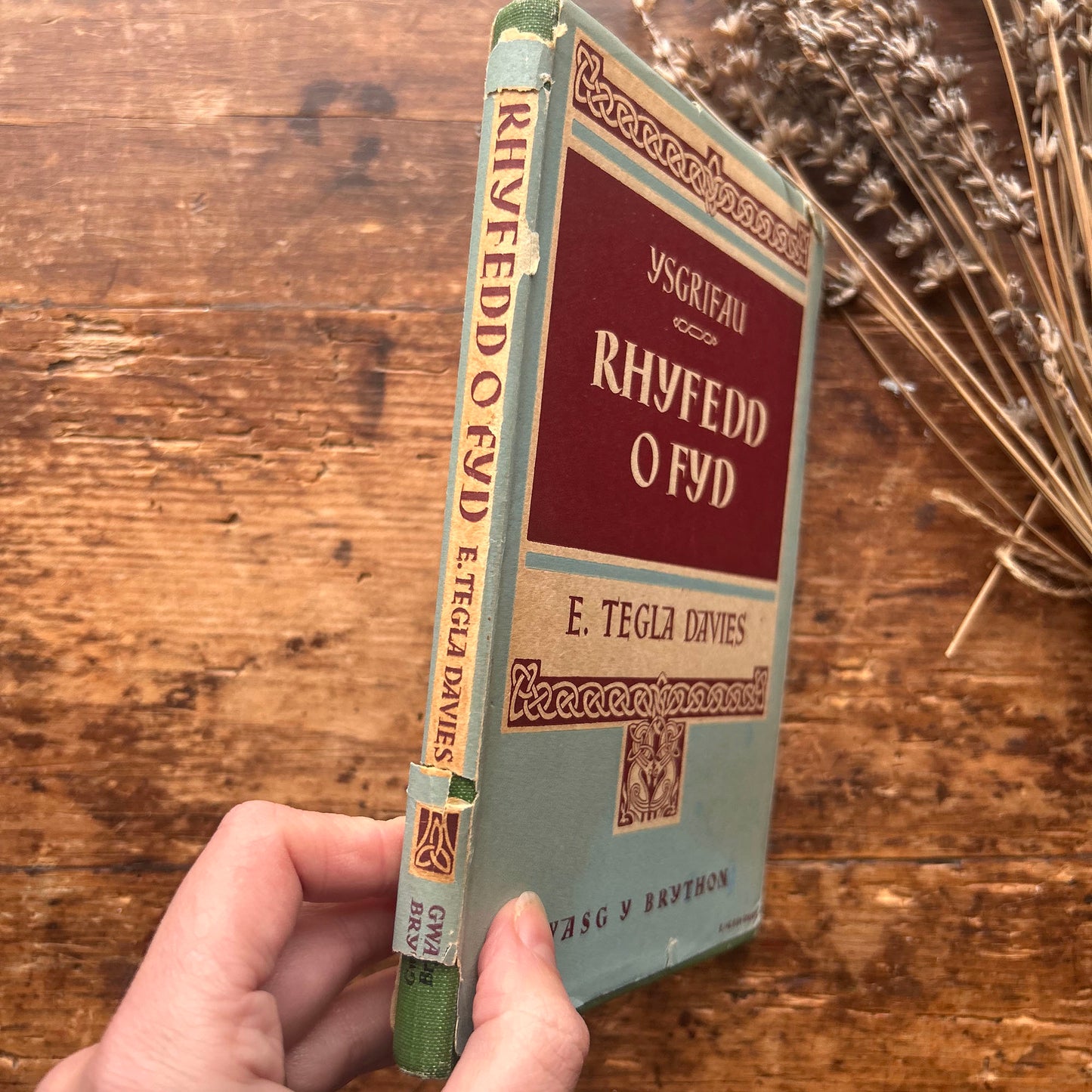 Nedw - E. Tegla Davies - Byrddau Glas - 1922 (Wedi'i ail-law)
