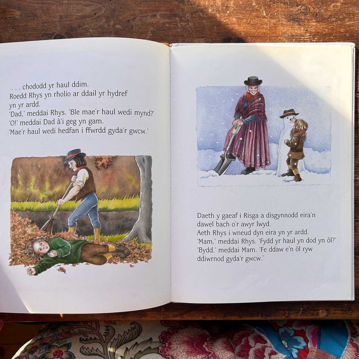 Rhys a Chwcw Rhisga - Sian Lewis & Gini Wade 1997 (Preloved)