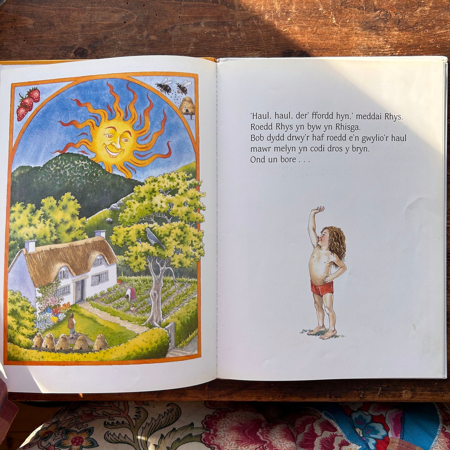 Rhys a Chwcw Rhisga - Sian Lewis & Gini Wade 1997 (Preloved)