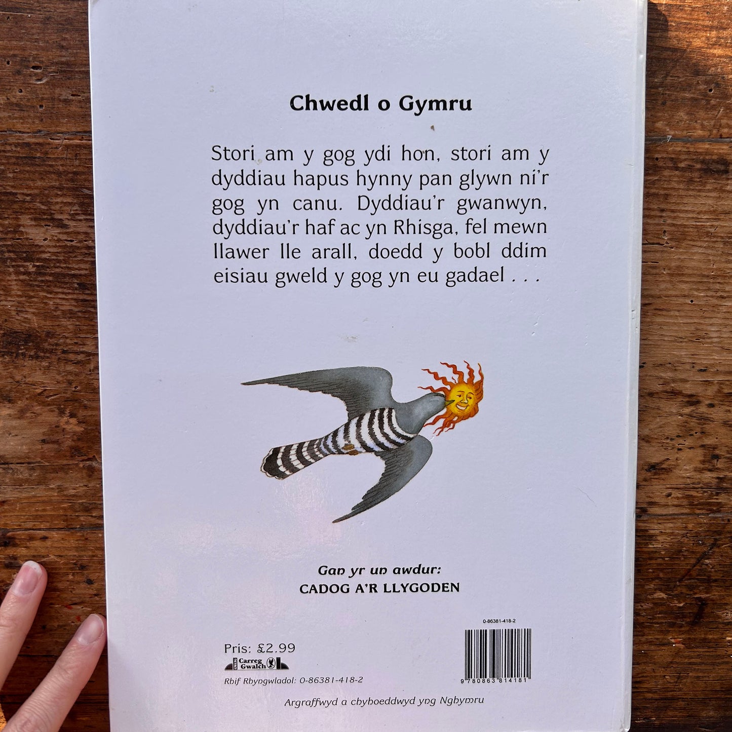 Rhys a Chwcw Rhisga - Sian Lewis & Gini Wade 1997 (Preloved)