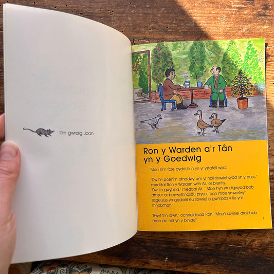 Ron y Warden - a'r Tan yn y Goedwig - David Leverett - 2003 (Preloved)