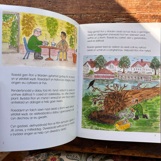 Ron y Warden - Wrth ei Waith - David Leverett - 2002 (Preloved)