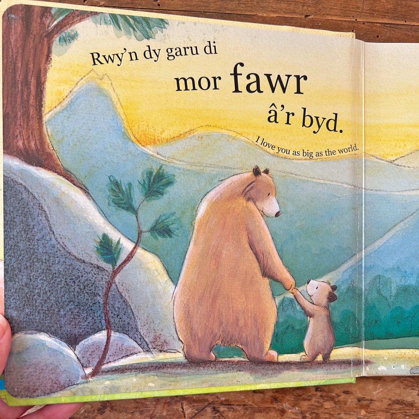 Rwy'n dy Garu Di Mor Fawr â'r Byd / I Love You as Big as the World (Preloved)
