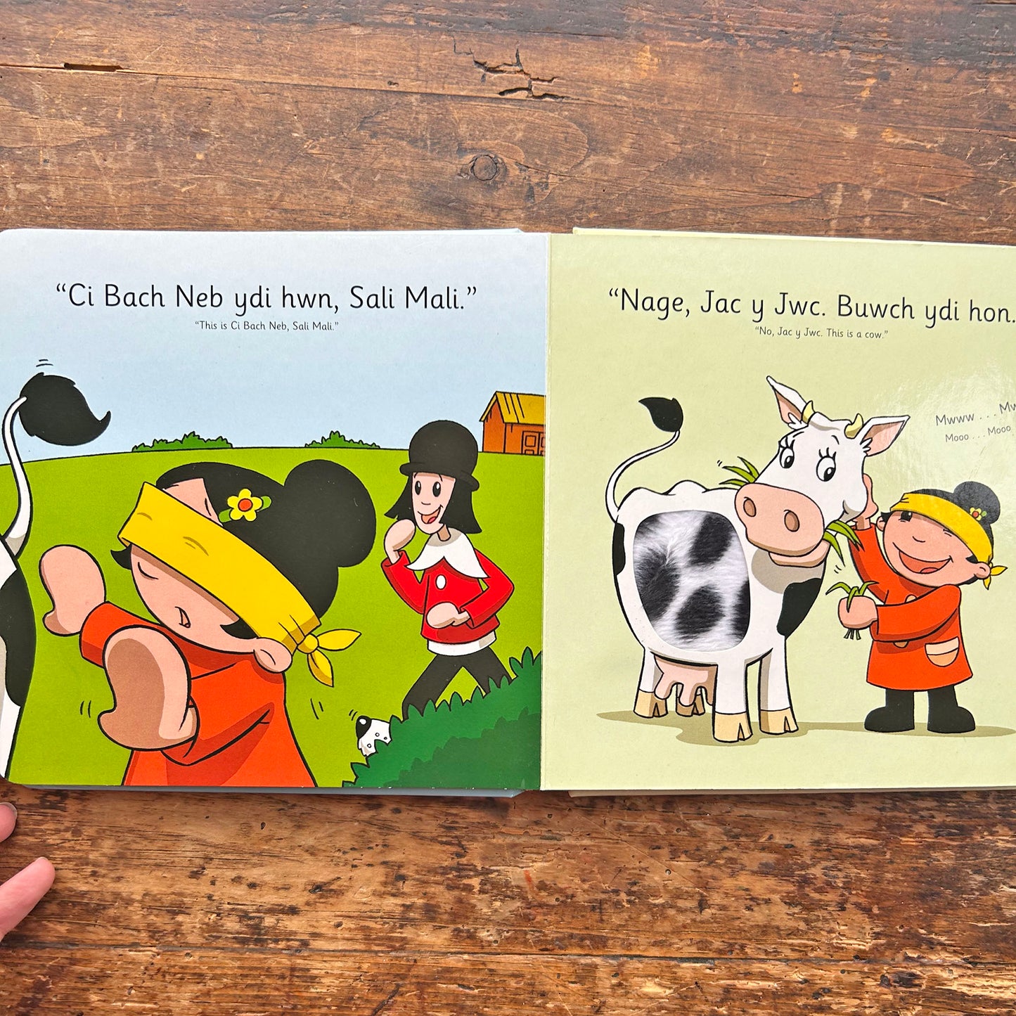 Sali Mali a Ci Bach Neb - Llyfr Cyffwrdd a Theimlo (Preloved)