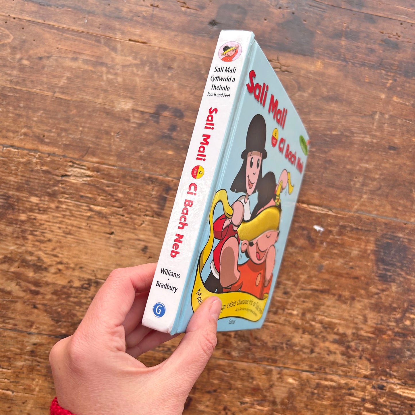 Sali Mali a Ci Bach Neb - Llyfr Cyffwrdd a Theimlo (Preloved)