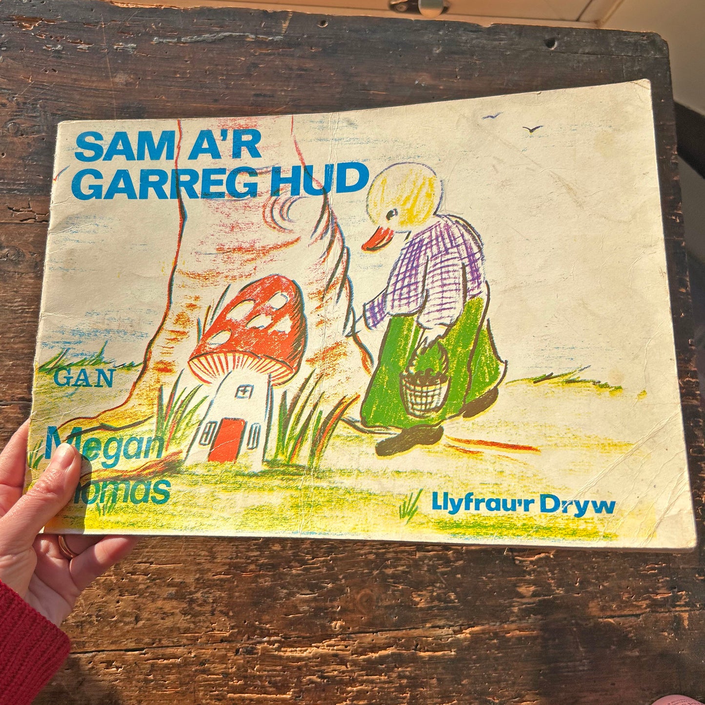 Sam a'r Garreg Hud - Megan Thomas - Vintage Welsh Book 1968 (Preloved)