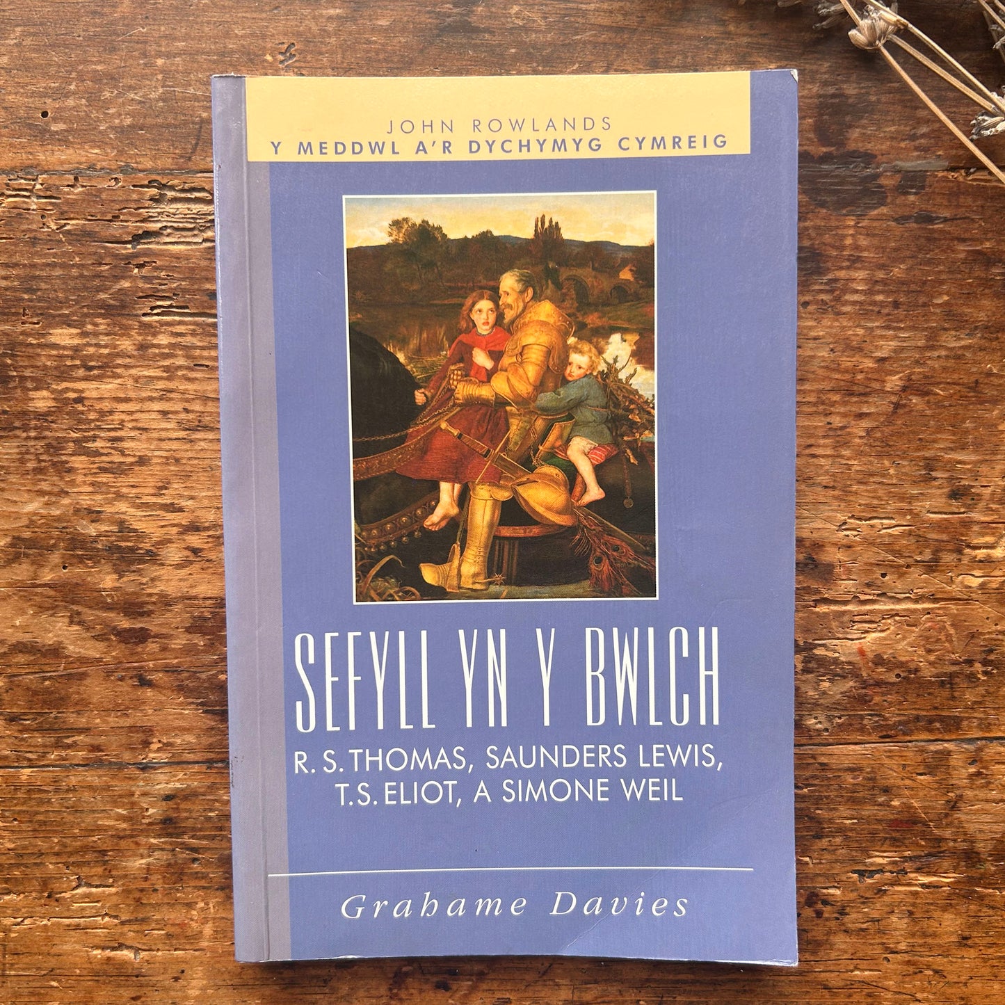 Nedw - E. Tegla Davies - Byrddau Glas - 1922 (Wedi'i ail-law)