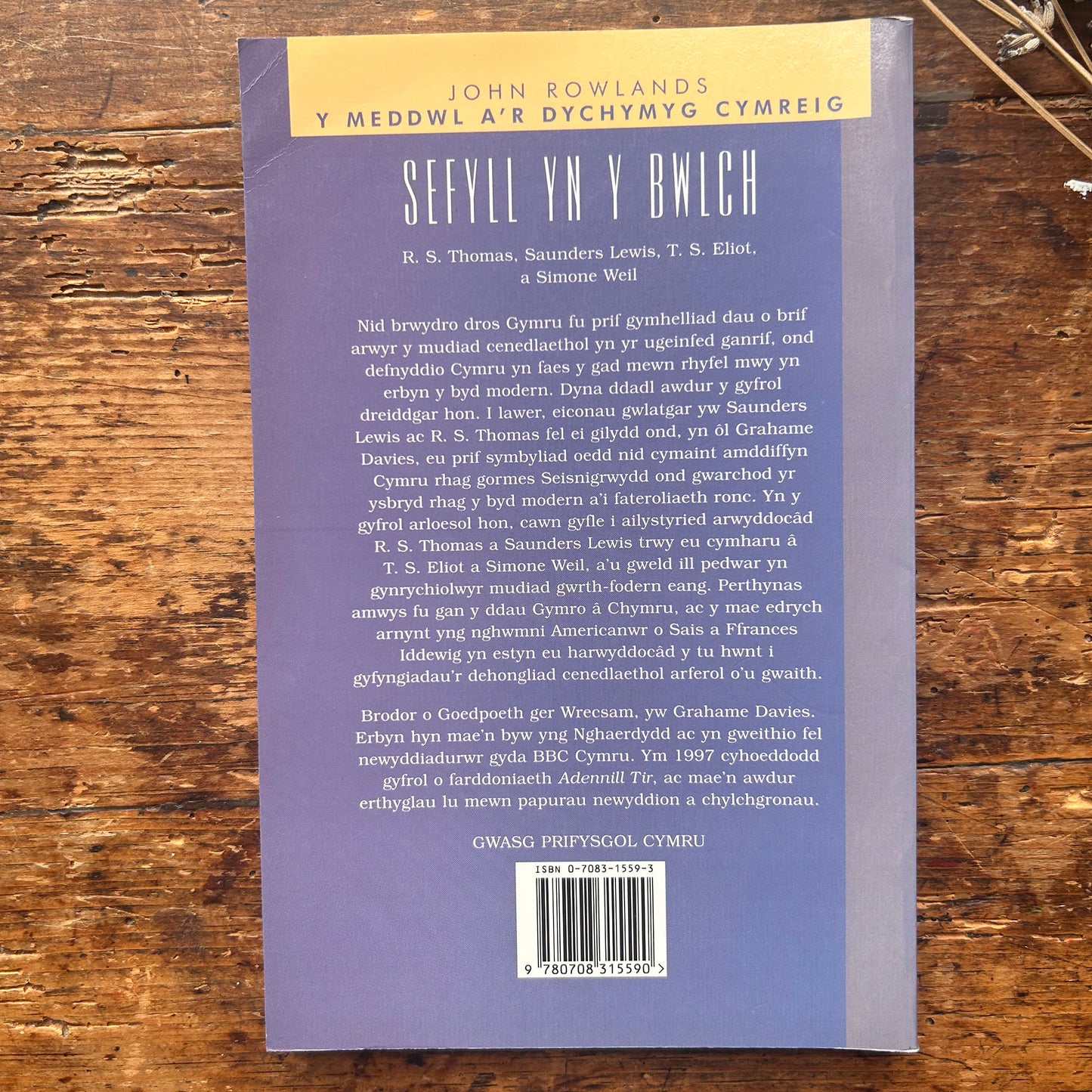 Nedw - E. Tegla Davies - Byrddau Glas - 1922 (Wedi'i ail-law)
