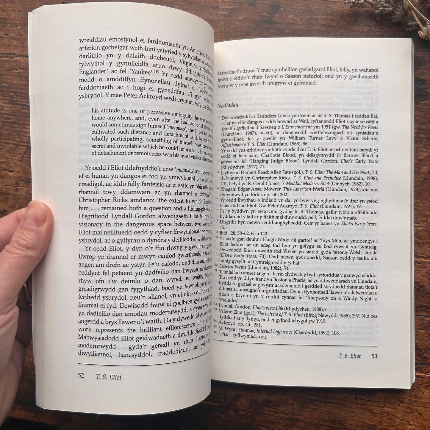 Nedw - E. Tegla Davies - Byrddau Glas - 1922 (Wedi'i ail-law)