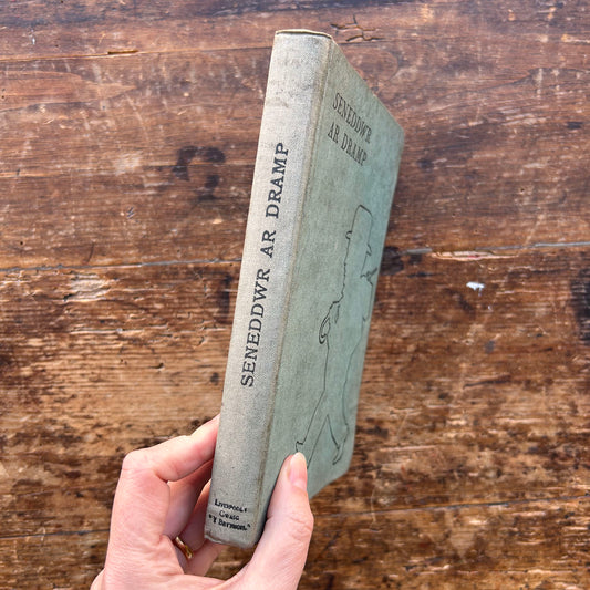 Seneddwr ar Dramp - Rhys J. Davies - 1935 (Preloved)