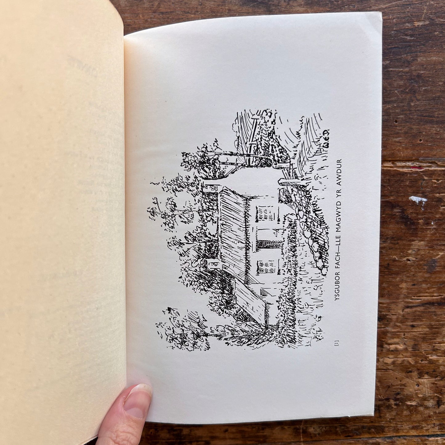 Seneddwr ar Dramp - Rhys J. Davies - 1935 (Preloved)