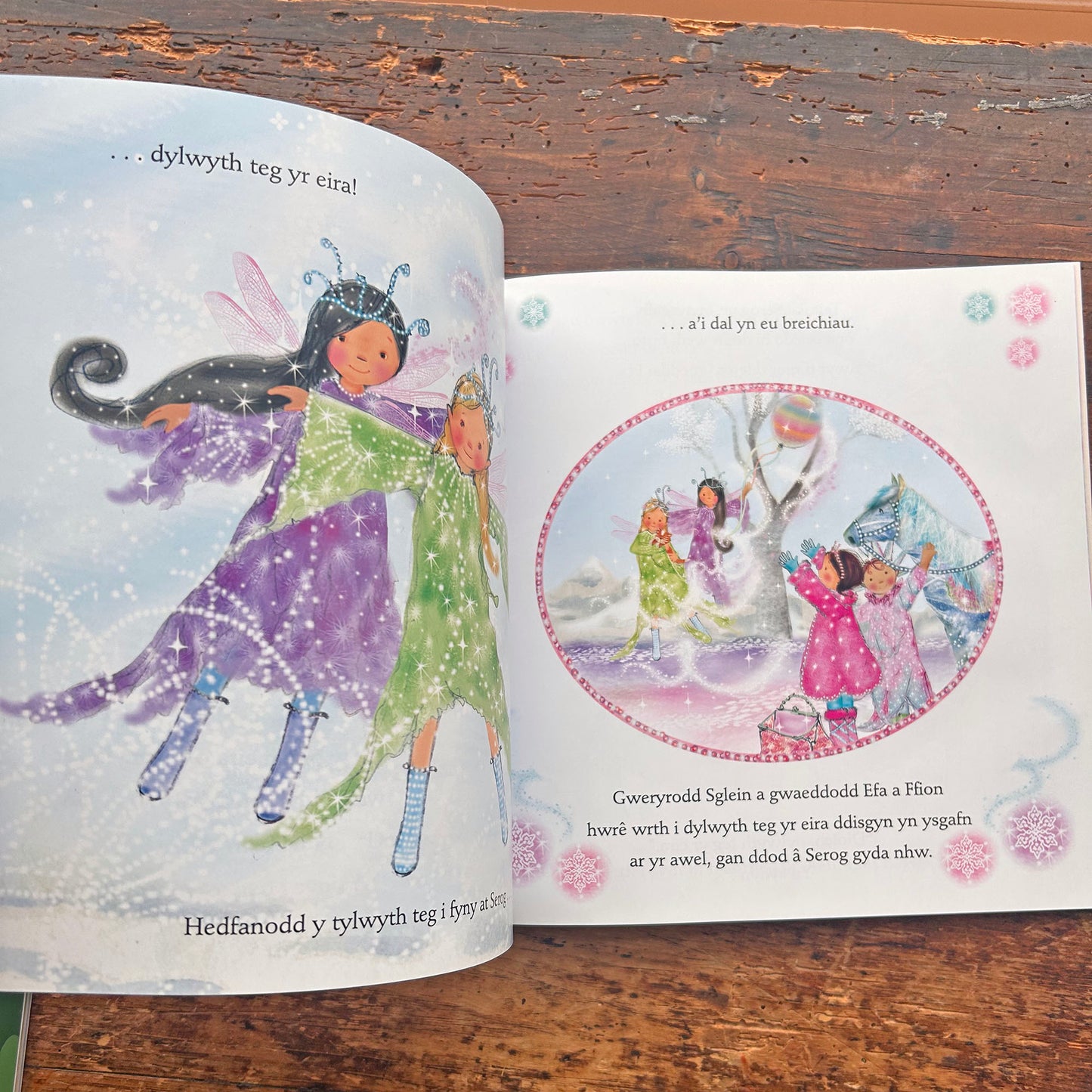 Sglein, Merlen Hud yr Iâ - Cyfres Merlod y Dywysoges Efa  (Preloved)