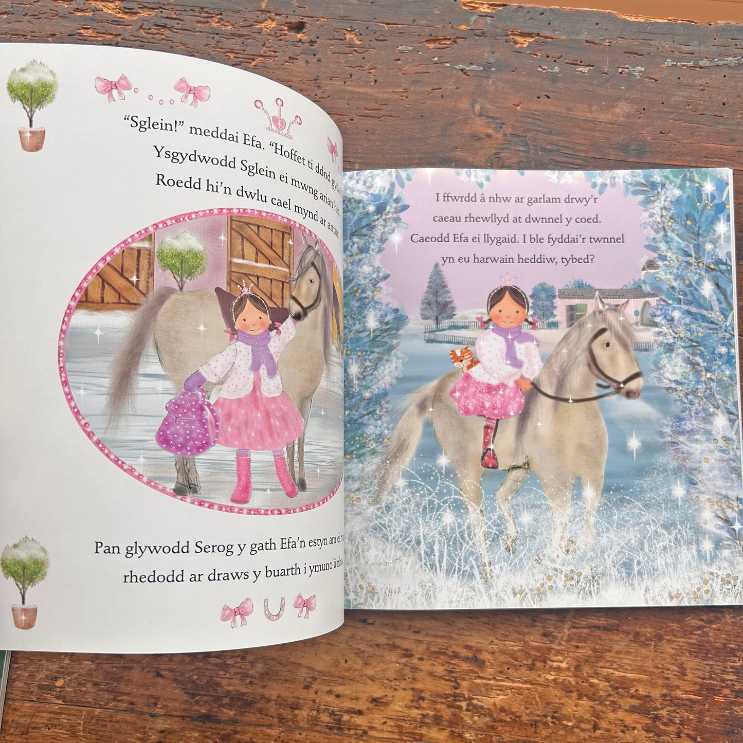 Sglein, Merlen Hud yr Iâ - Cyfres Merlod y Dywysoges Efa  (Preloved)