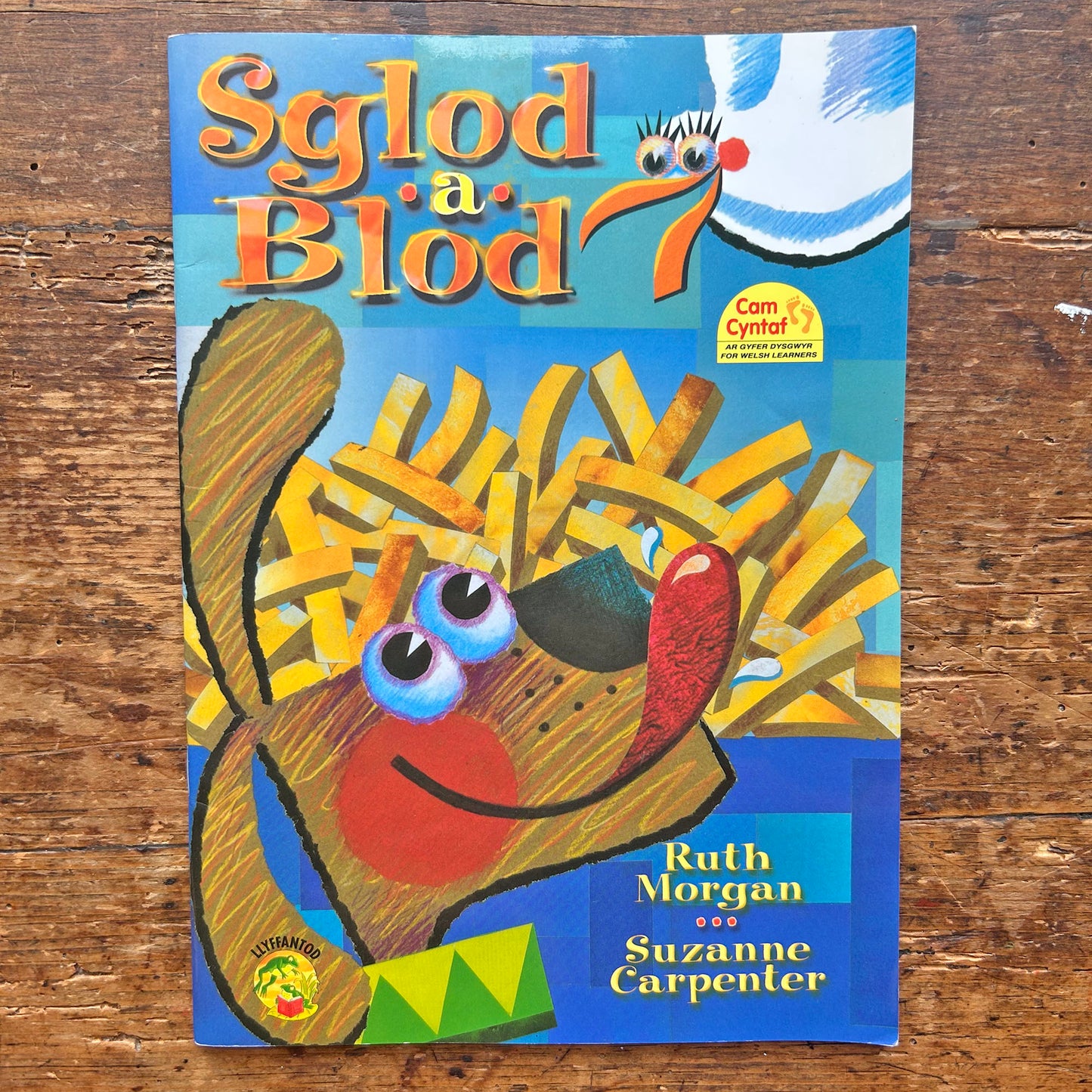 Sglod a Blod: Cyfres Llyffantod (Preloved)