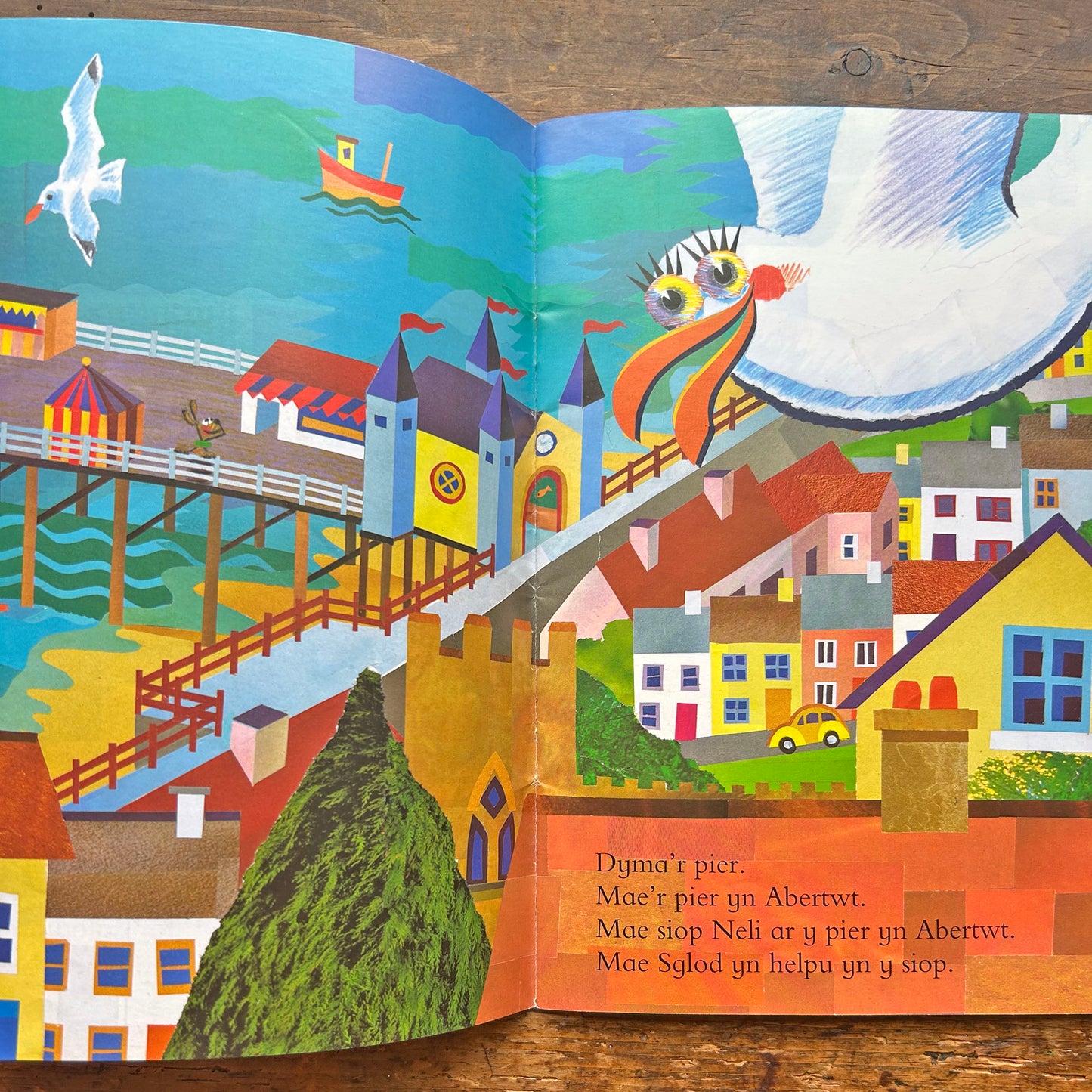 Sglod a Blod: Cyfres Llyffantod (Preloved)